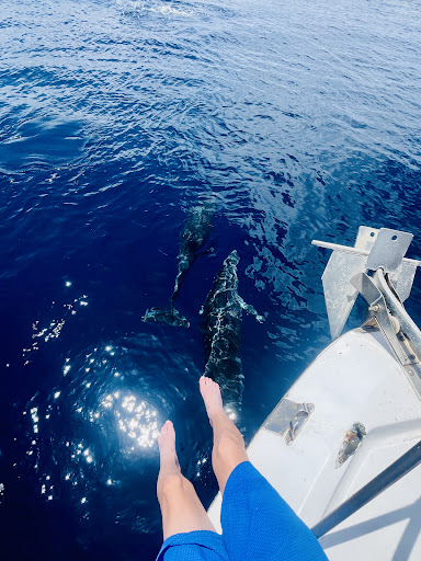 Photo from customer review