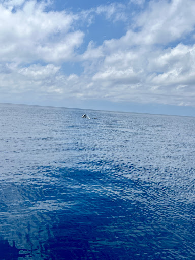 Photo from customer review