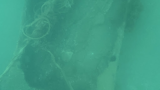 Photo from customer review