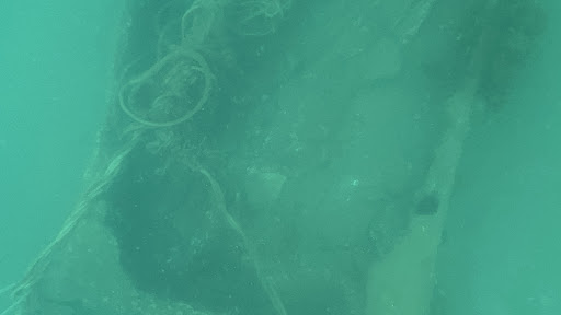 Photo from customer review