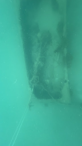 Photo from customer review