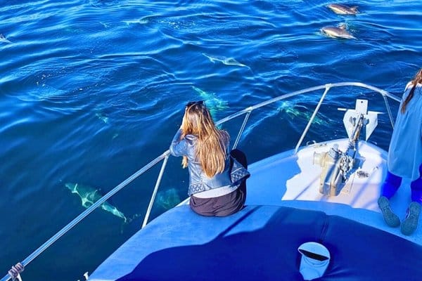 Avistamiento de delfines en Málaga