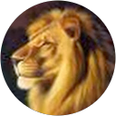 Viktor M. profile picture