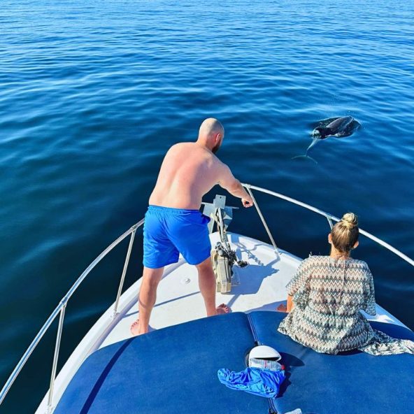 Pareja observando a delfin en Benalmádena