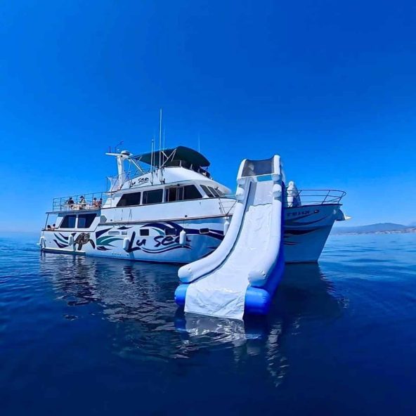 Lu Sea Toro Privado