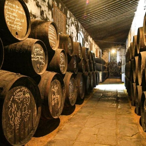 Bodegas Tío Pepe Barricas