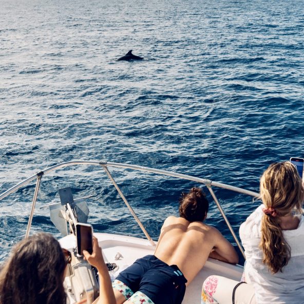 D134036F-372B-469E-A73B-FA22C8426F38_1_201_a