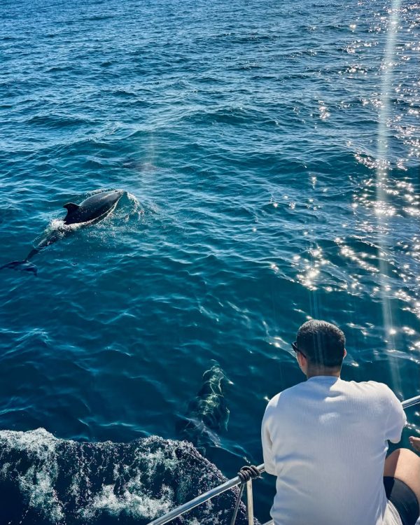 Dolphin Tour Benalmádena
