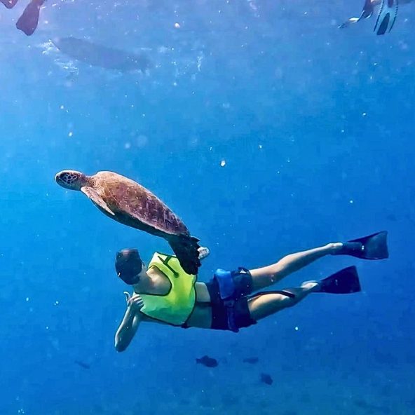 Snorkel con tortuga en Benalmadena