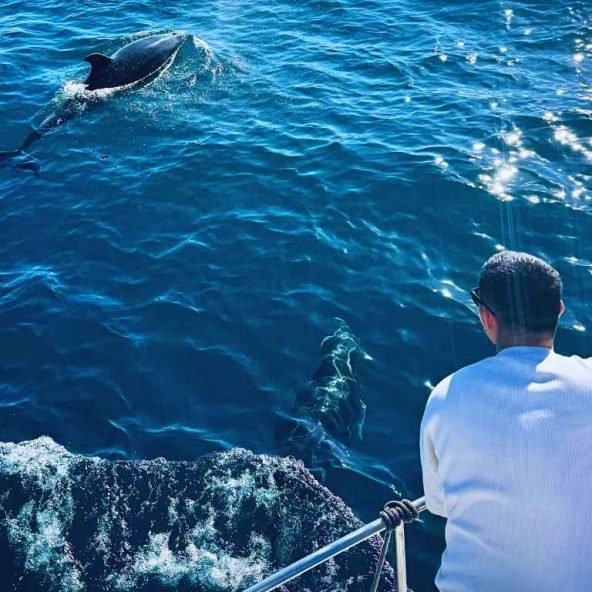 Turista Observando Delfines